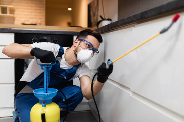 Professional Pest Control in Mount Vernon, VA