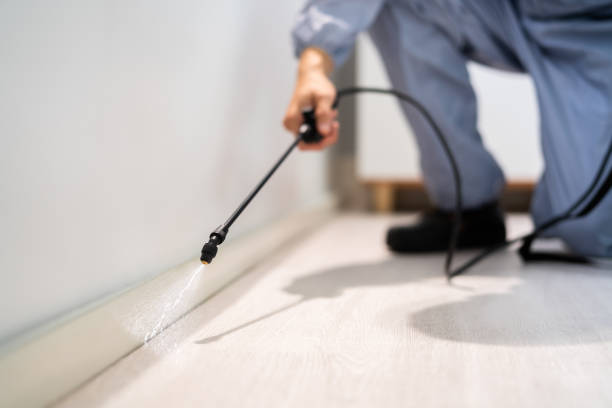 Best Commercial Pest Control Services  in Mount Vernon, VA