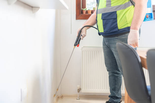 Best Best Pest Control Companies  in Mount Vernon, VA