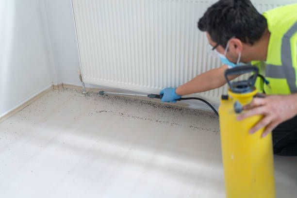 Best Emergency Pest Control  in Mount Vernon, VA